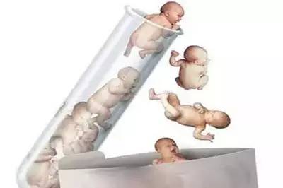 赵主任